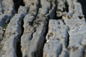img_8309