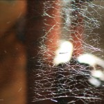 img_8355