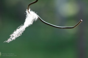 img_8365