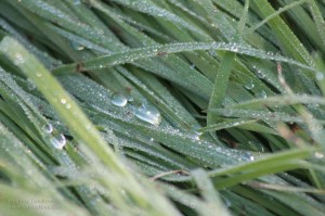 img_8369