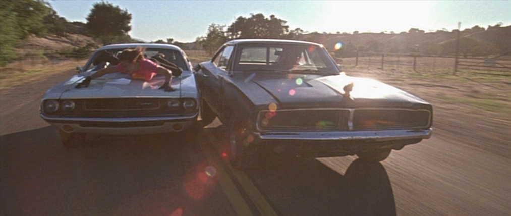 stuck-on-the-bonnet-er-the-hood