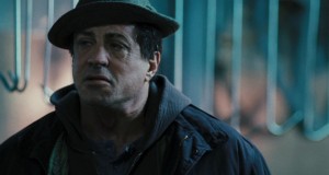 Stallone
