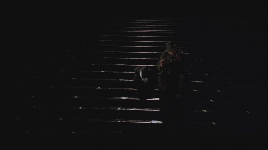 Max sits on the dock of the bay.
