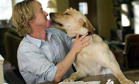 I wuv wu vewy vewy much!! WOOF!!!