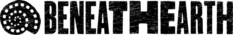 bte_logo_bw_large-760x115-custom.jpg
