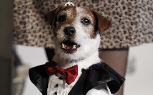 Uggie - 2002-2015
